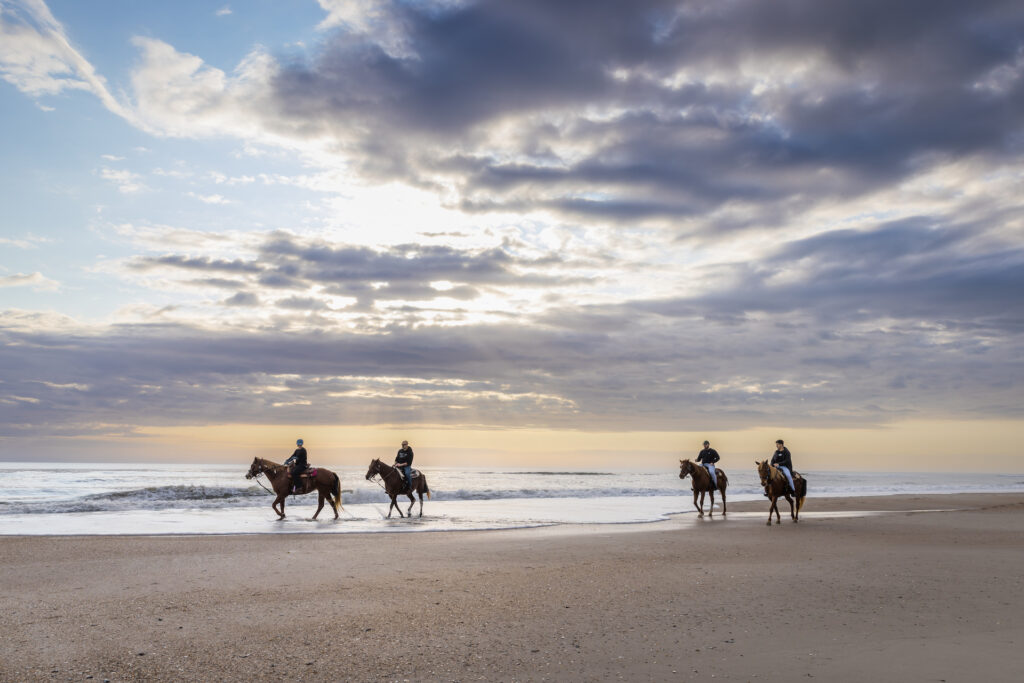 An Afternoon in the Saddle