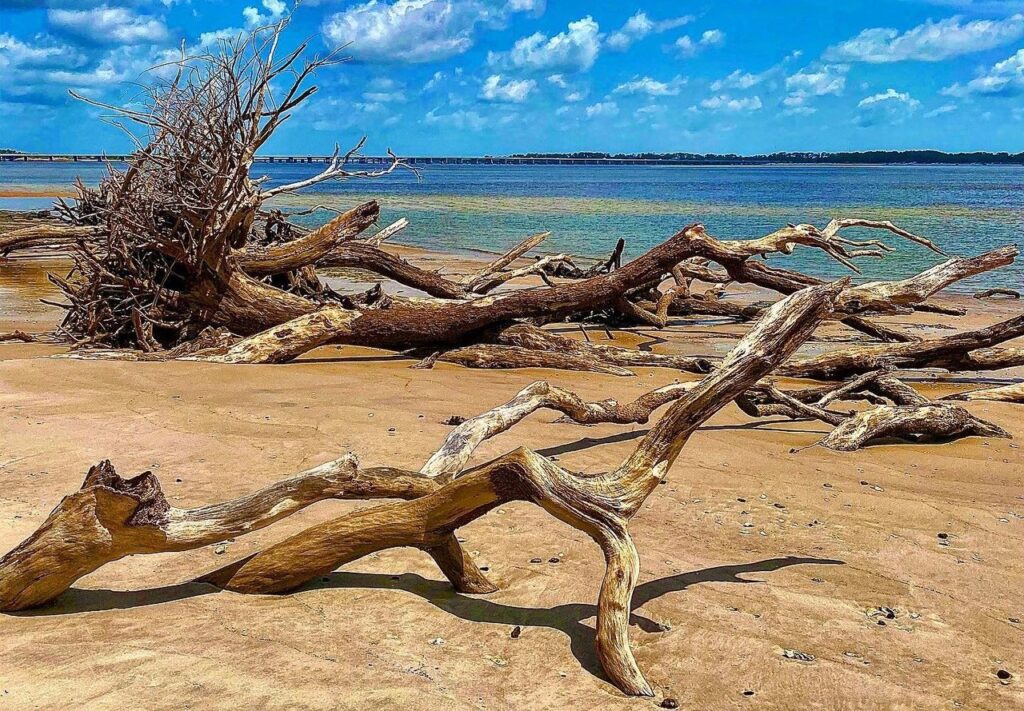 Boneyard Beach shoreline